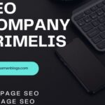 SEO Company Primelis: SEO Services Review