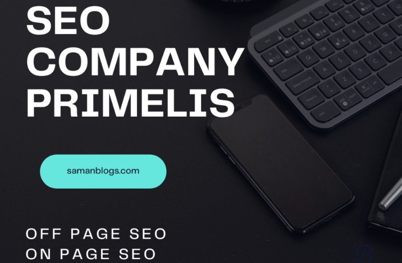 SEO Company Primelis: SEO Services Review